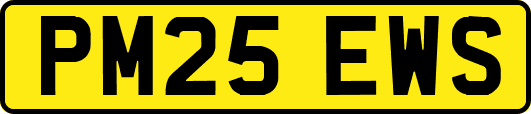 PM25EWS
