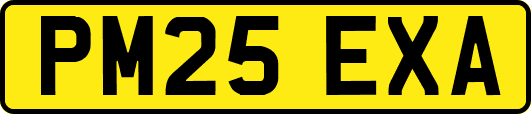 PM25EXA