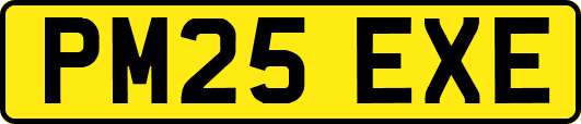 PM25EXE
