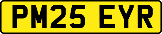 PM25EYR
