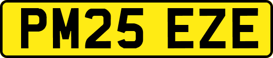 PM25EZE