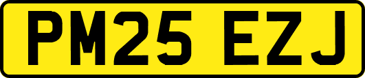 PM25EZJ