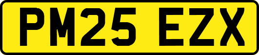 PM25EZX