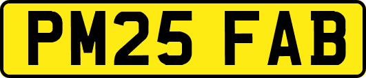 PM25FAB