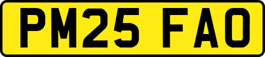 PM25FAO