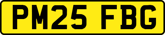 PM25FBG