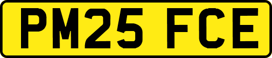 PM25FCE