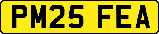 PM25FEA
