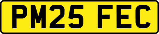 PM25FEC