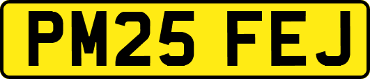 PM25FEJ