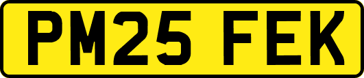 PM25FEK