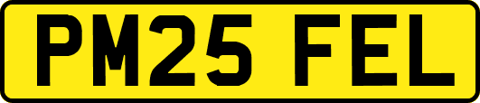 PM25FEL