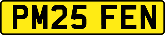 PM25FEN