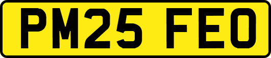 PM25FEO