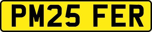 PM25FER