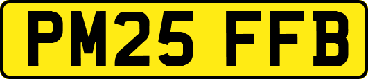 PM25FFB