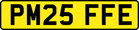 PM25FFE