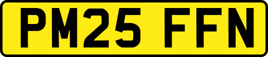 PM25FFN