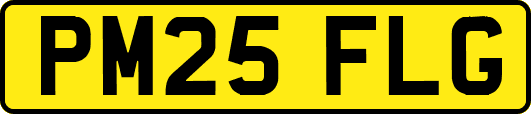 PM25FLG