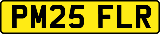 PM25FLR