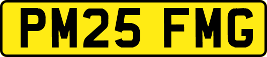 PM25FMG