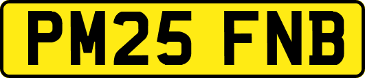 PM25FNB