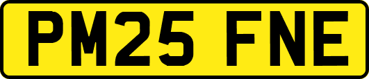PM25FNE