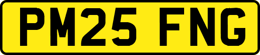 PM25FNG