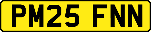 PM25FNN