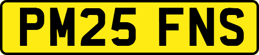 PM25FNS