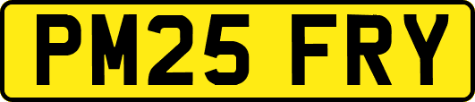 PM25FRY
