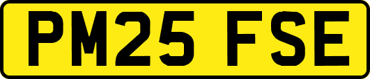 PM25FSE