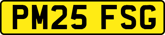 PM25FSG