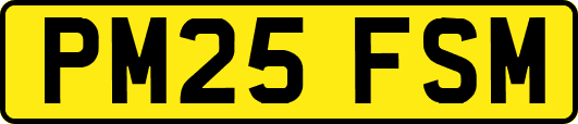 PM25FSM