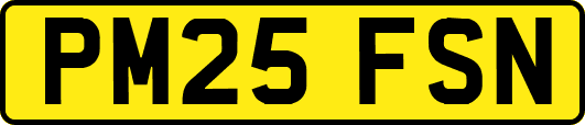 PM25FSN
