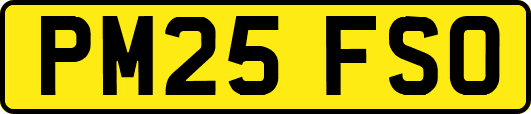 PM25FSO