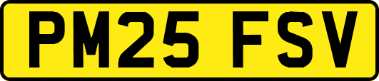PM25FSV