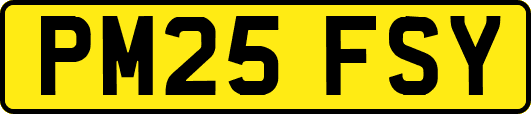 PM25FSY