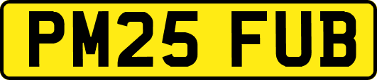 PM25FUB