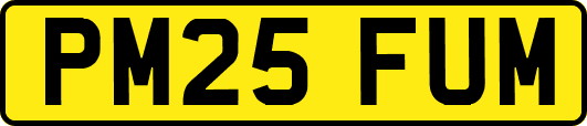 PM25FUM