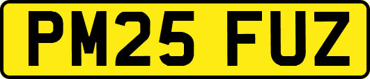 PM25FUZ