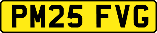 PM25FVG
