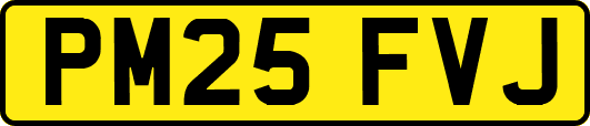 PM25FVJ