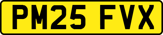 PM25FVX