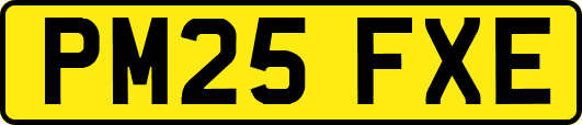 PM25FXE