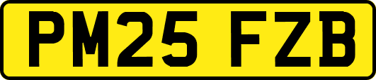 PM25FZB