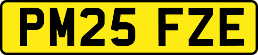 PM25FZE