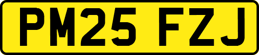 PM25FZJ