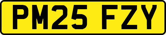 PM25FZY