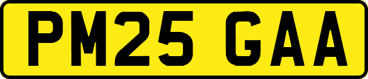 PM25GAA